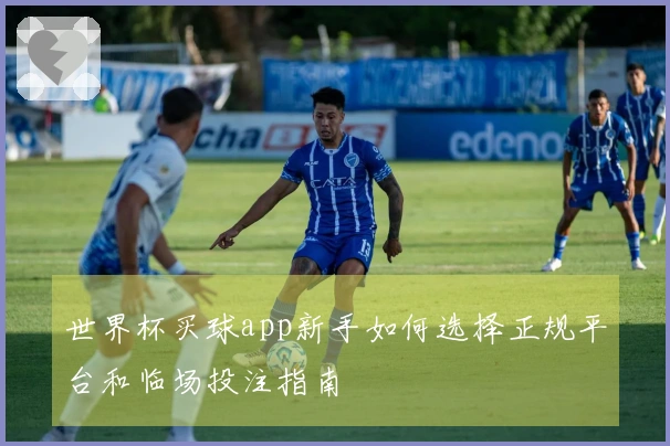 世界杯买球app新手如何选择正规平台和临场投注指南