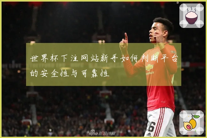世界杯下注网站新手如何判断平台的安全性与可靠性