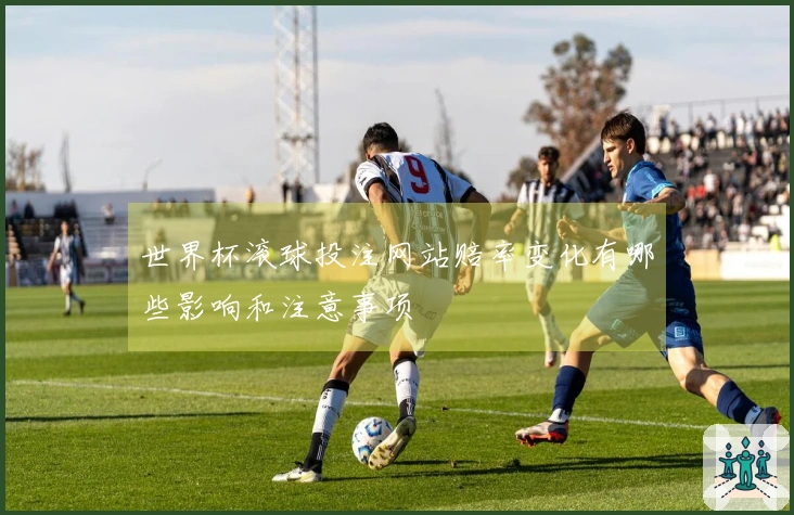 世界杯滚球投注网站赔率变化有哪些影响和注意事项