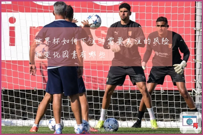 世界杯如何下注时需要关注的风险和变化因素有哪些