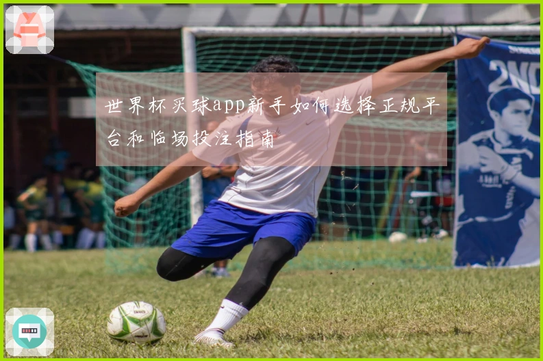 世界杯买球app新手如何选择正规平台和临场投注指南