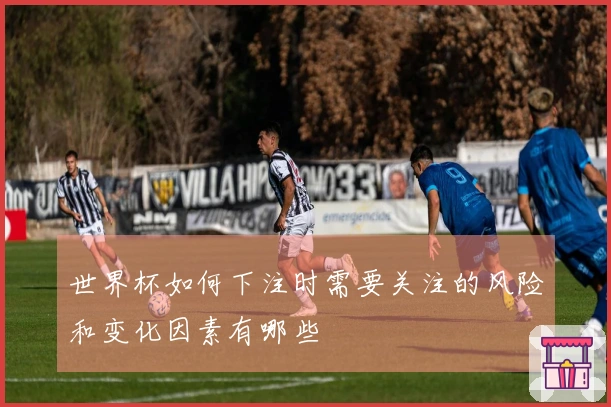 世界杯如何下注时需要关注的风险和变化因素有哪些
