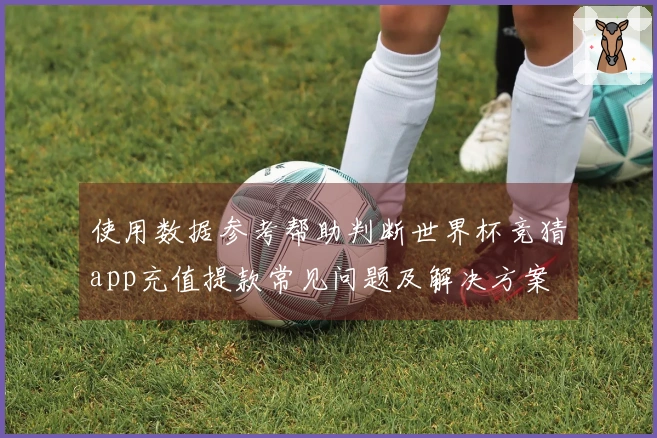 使用数据参考帮助判断世界杯竞猜app充值提款常见问题及解决方案