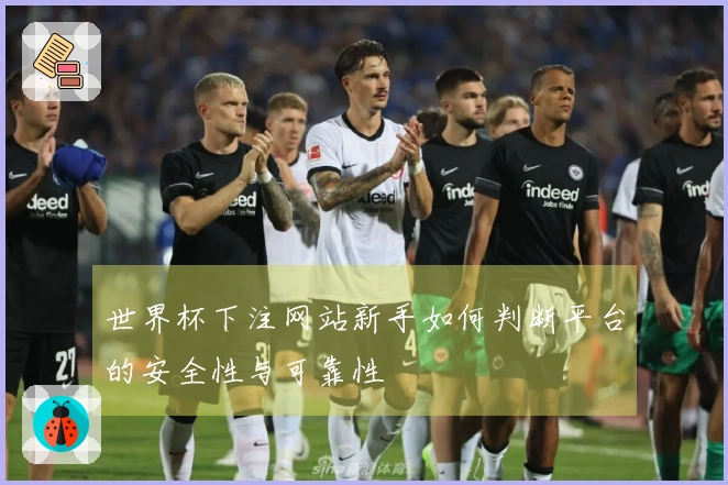 世界杯下注网站新手如何判断平台的安全性与可靠性
