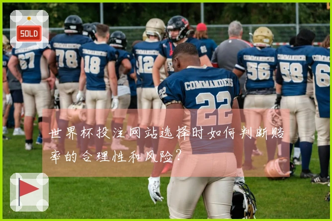 世界杯投注网站选择时如何判断赔率的合理性和风险？